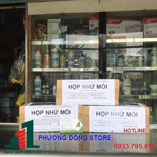 Hộp nhử mối
